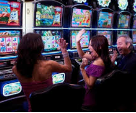 威廉体育电脑免费版